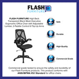 High Back Transparent Black Mesh Executive Ergonomic Office Chair with Adjustable Lumbar, 2-Paddle Control & Flip-Up Arms