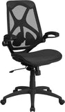 High Back Transparent Black Mesh Executive Ergonomic Office Chair with Adjustable Lumbar, 2-Paddle Control & Flip-Up Arms